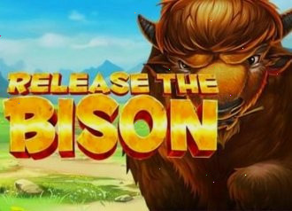 bison mayhem prairie